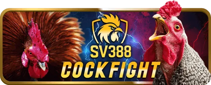 Khuyến mãi wy88 win